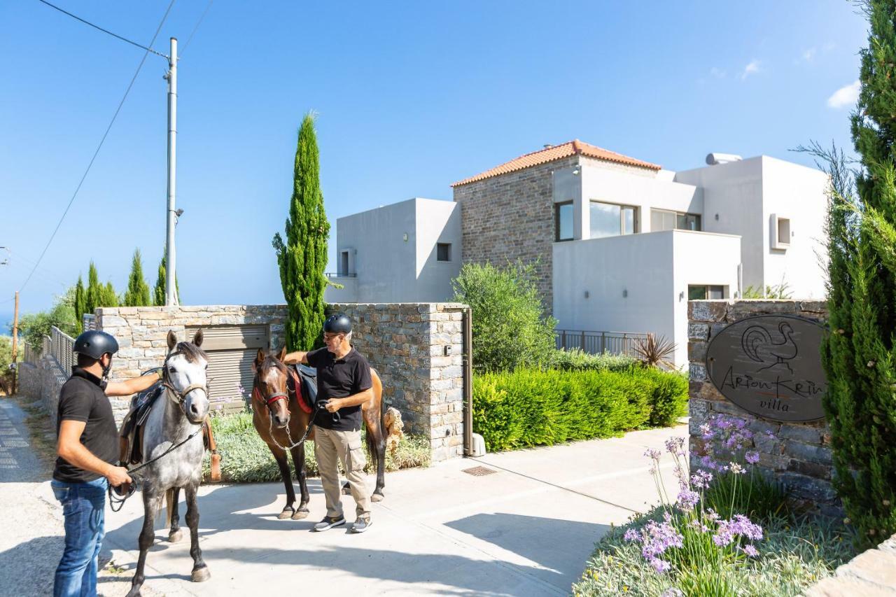 Arion Krini Villa Amnatos Exterior foto